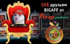 Бонус от Pin-up Partners для партнеров