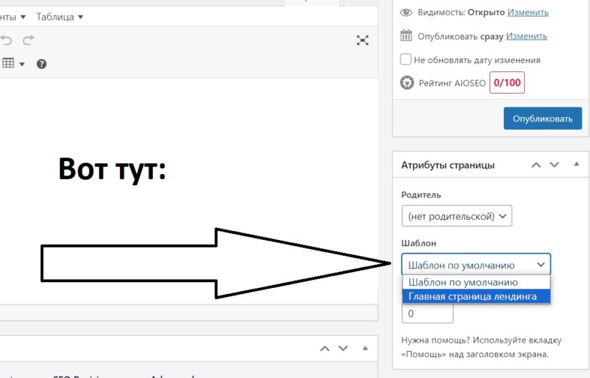 как вставить статичную страницу в вордпресс