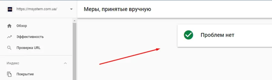 проверка мер принятых вручную в Google